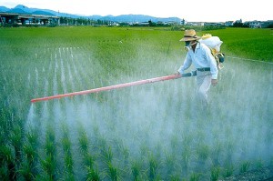 pesticid-campo