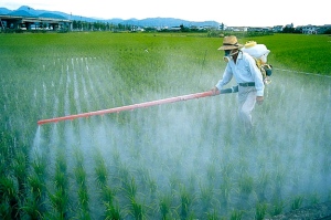 Esposizioni a pesticidi causa malattie neurodegenerative