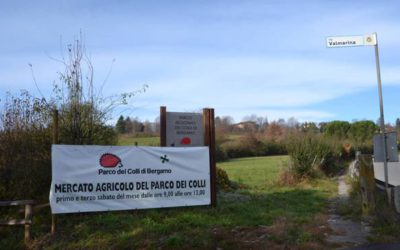 Dal Giappone per scoprire l’esperienza dei bio-distretti: tour in Valmarina, Bergamo