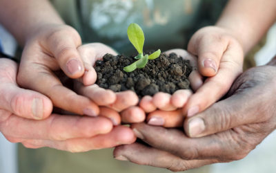 Agricoltura biologica inclusiva e sociale: un modello per il futuro. Un approfondimento su “Vita”