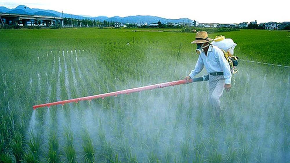 Glifosato: dossier alterati Monsanto. E’ solo l’ennesima conferma