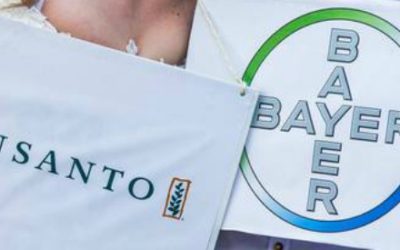 AIAB su fusione Monsanto Bayer: “limitazioni risibili, sempre più urgente piano sementiero per il bio”