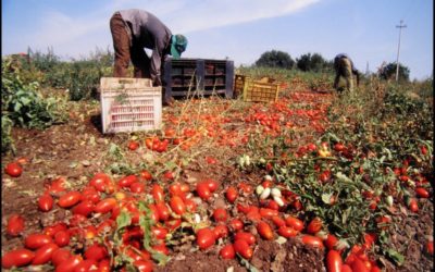 AIAB su Migranti: “il nostro sostegno a Bellanova. E’ un primo passo”