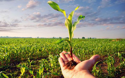 AIAB su Rilancio e Piano Colao:  “linguaggio smart ma poi? Agricoltura biologica, questa sconosciuta”