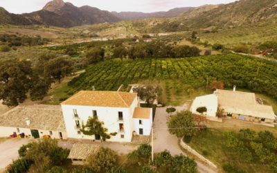 Diversificazione aziendale. Incontro in Calabria