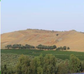 La diversificazione aziendale: un’opportunità del Progetto “Bio Land”