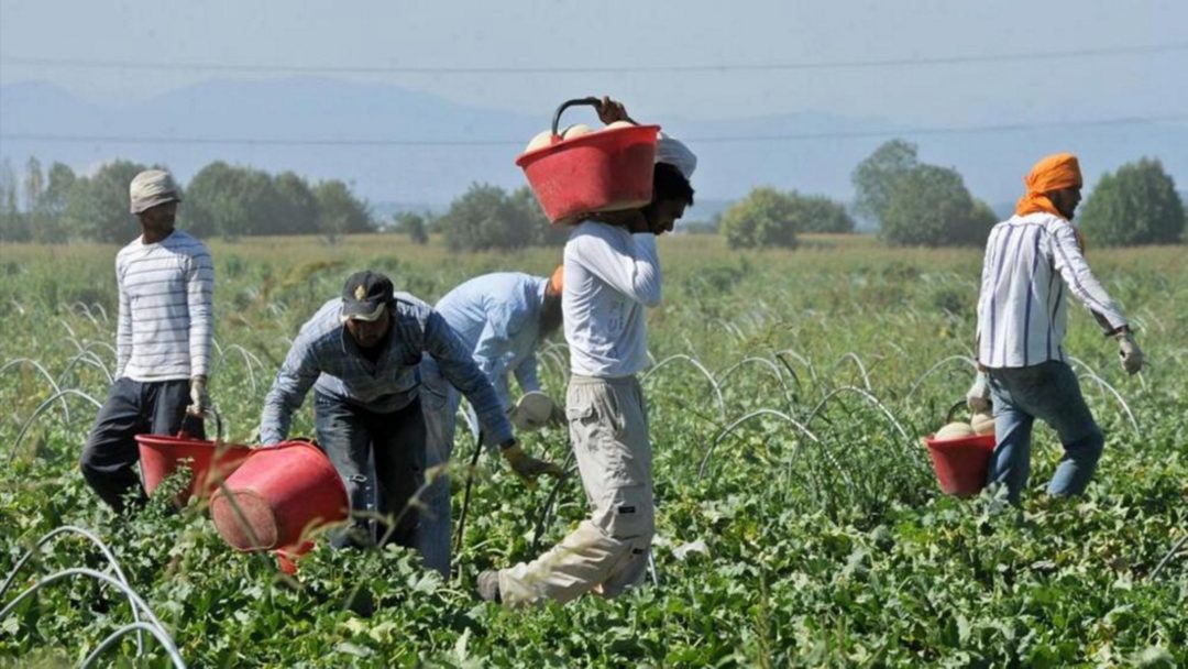 Caporalato E Sfruttamento: AIAB Su Caso Di Terracina - Associazione ...