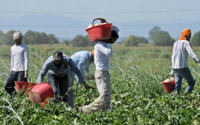 Caporalato e sfruttamento: AIAB su caso di Terracina