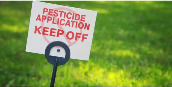 Pan Pesticidi: diventi strumento per una vera transizione ecologica. Appello di 11 associazioni