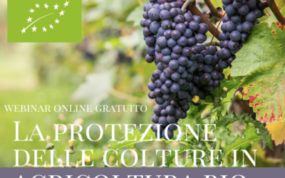 Bio: la protezione delle colture. Webinar gratuito