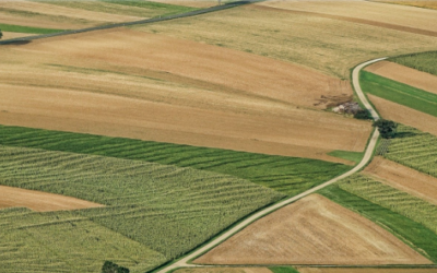 Il trend del biologico in Italia: riflessioni, possibili scenari e previsioni. Webinar 25 giugno aperto a tutti