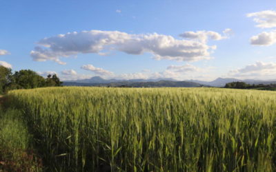 Biodistretti: Nelle Marche un nuovo progetto per la Vallesina