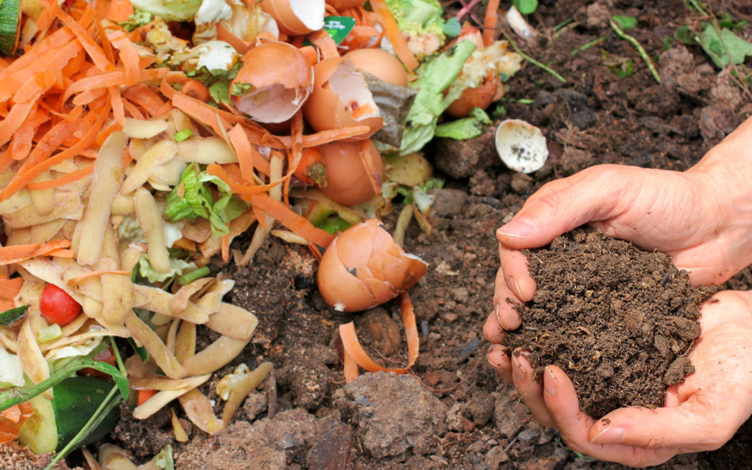 ‘A…B…Compost’: sostanza organica di valore nel bio. Se ne parla a La Stecca a Milano