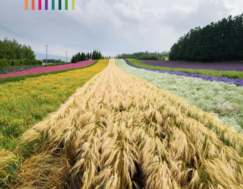 Agroecologia e Pac- Il Rapporto sulla programmazione Post 2022