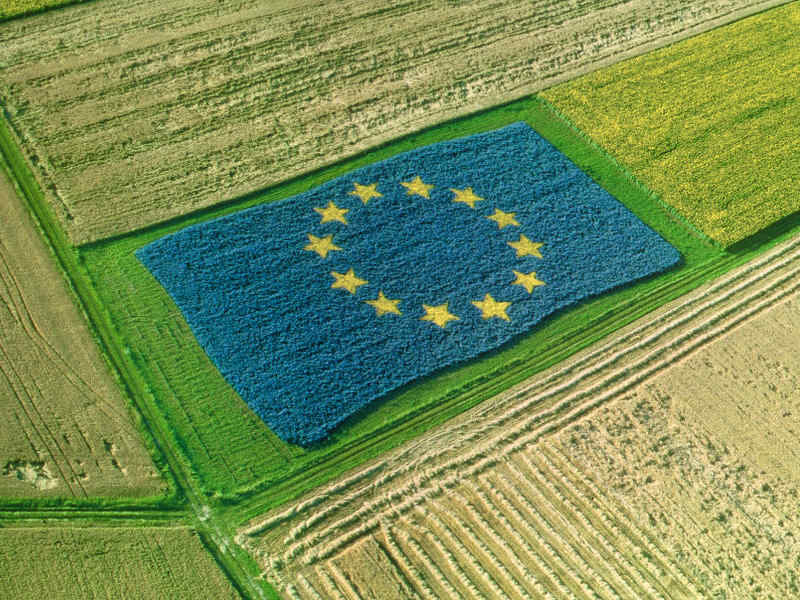 Le associazioni italiane scrivono al governo: “Sull’agricoltura manteniamo fede agli accordi con l’Europa”