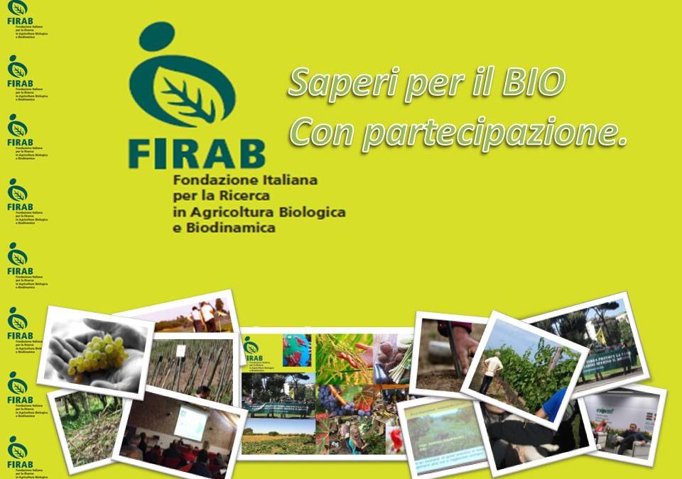 FIRAB ricerca un/a collaboratore/trice in tema di analisi di mercato e politiche agricole