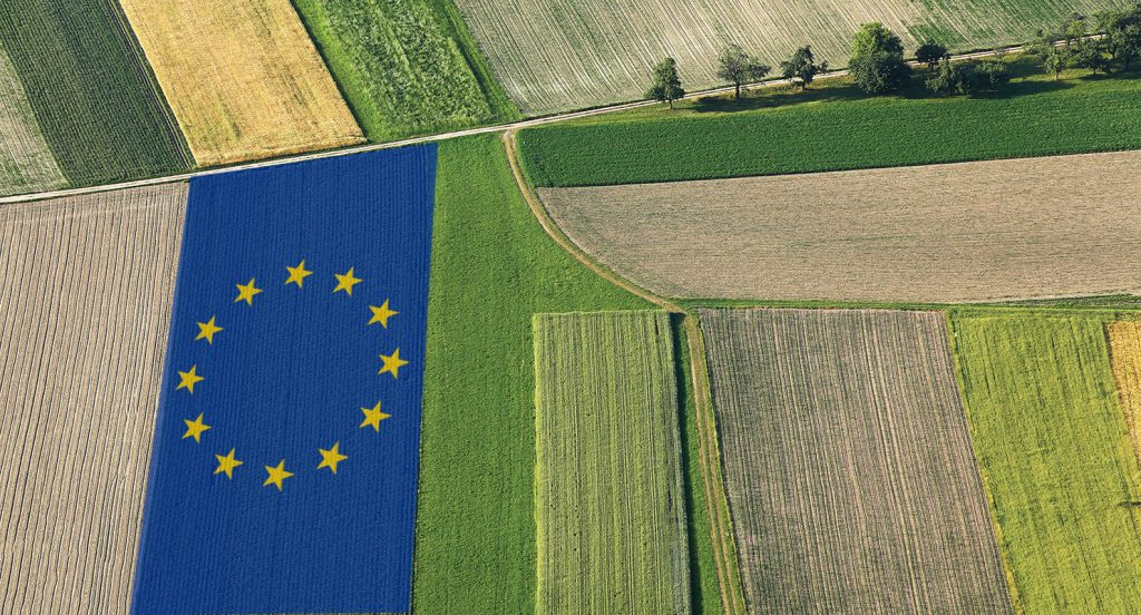 Appello di 17 organizzazioni al governo: “puntiamo sulla transizione ecologica dell’agricoltura italiana ed europea”