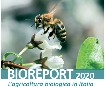 Bioreport: Dati nuovi che confermano che il bio italiano è un’eccellenza.
