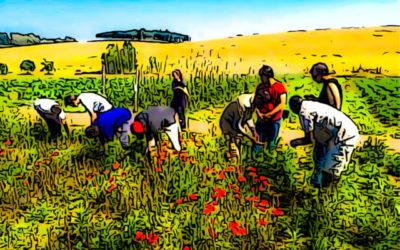 AIAB Umbria: in partenza una scuola di agricoltura sociale