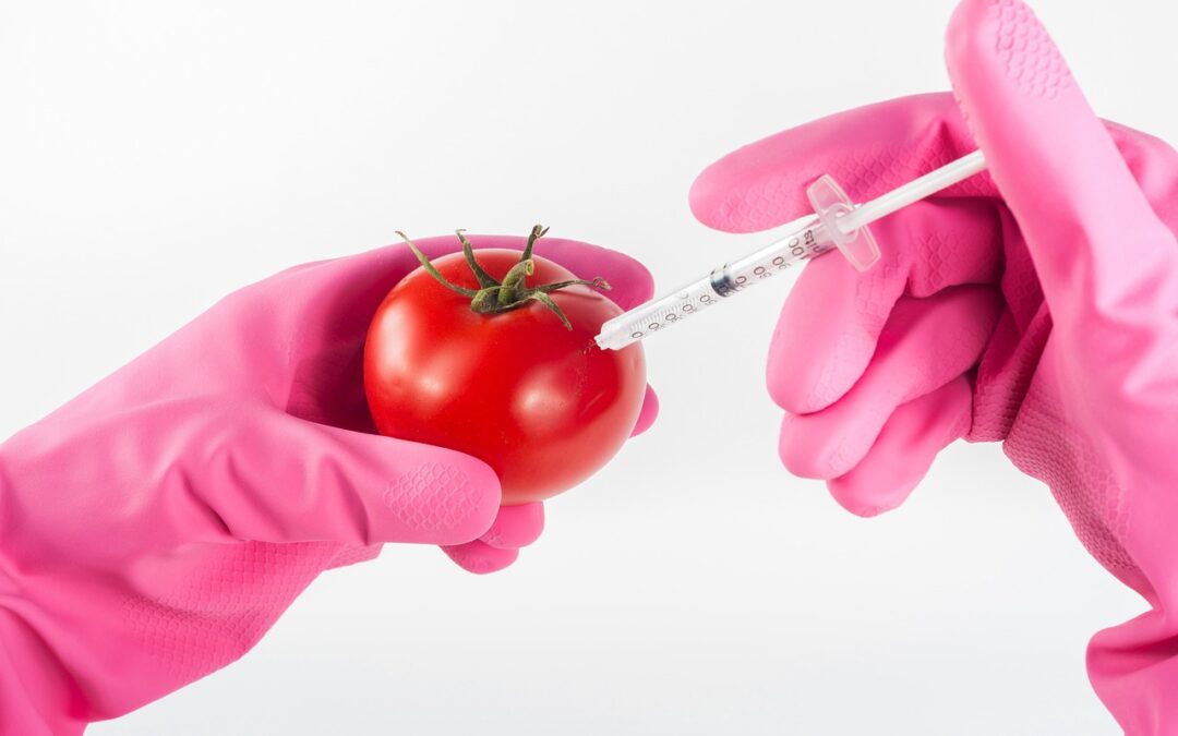Stallo in UE sui nuovi OGM  La Coalizione Italia Libera da OGM: “Ora si fermi la deregulation”