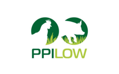 PPILOW  Newsletter marzo 2024