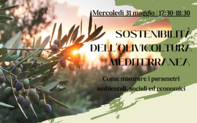 Sustainolive: inun webinar come misurare la sostenibilità dei processi produttivi in olivicoltura