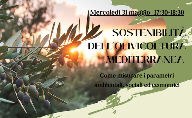 Sustainolive: inun webinar come misurare la sostenibilità dei processi produttivi in olivicoltura