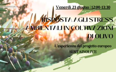 Sustainolive: risposta agli stress ambientali in coltivazioni di olivo