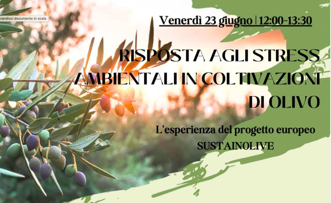 Sustainolive: risposta agli stress ambientali in coltivazioni di olivo