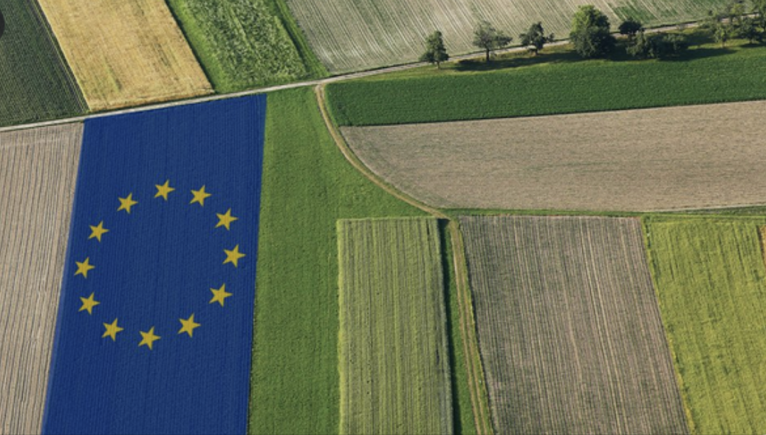 Politica agricola Ue ad alto impatto ambientale