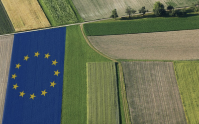 Politica agricola Ue ad alto impatto ambientale