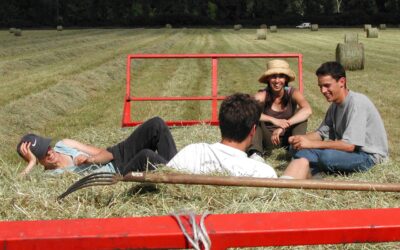 Agricoltura biologica rigenerativa: 10 mila euro per i giovani agricoltori under 35