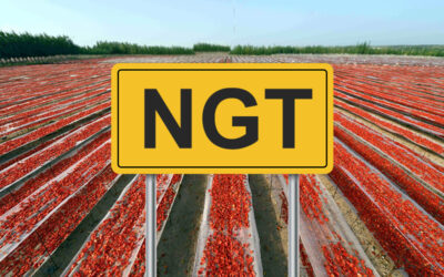 Firma l’appello europeo entro il 31 agosto contro le NGT