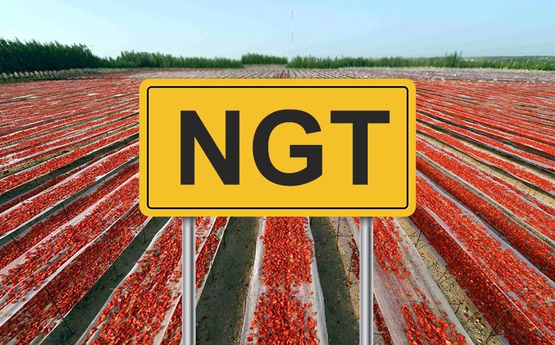 Firma l’appello europeo entro il 31 agosto contro le NGT